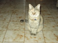 /album/marisa-neves/ferias-agosto-2014-148-jpg/